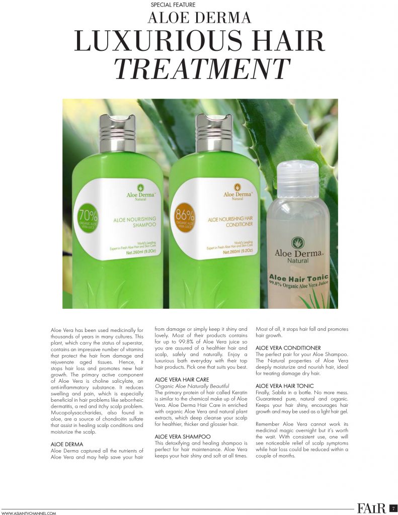 2017-0311-Fair-Magazine-ISSUU-Settings-7